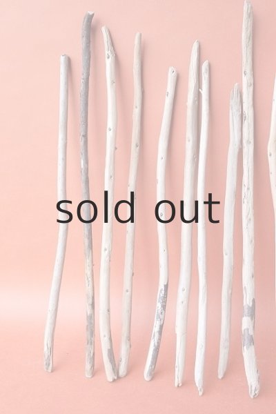 画像4: 棒流木セット (4)