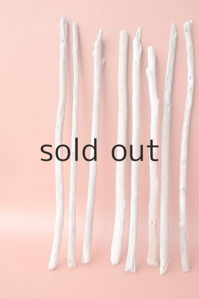 画像4: 棒流木セット (4)