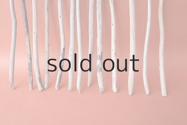 画像2: 棒流木セット (2)