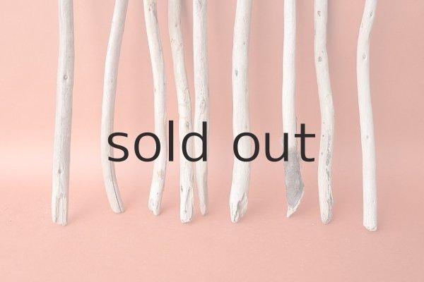 画像2: 棒流木セット (2)