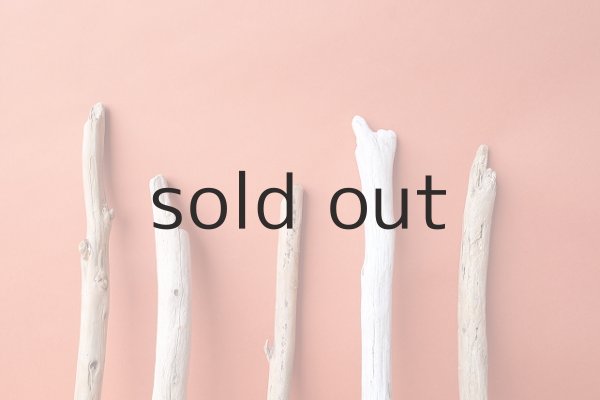 画像4: 棒流木セット (4)