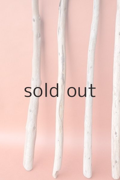 画像5: 棒流木セット (5)