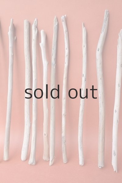 画像5: 棒流木セット (5)