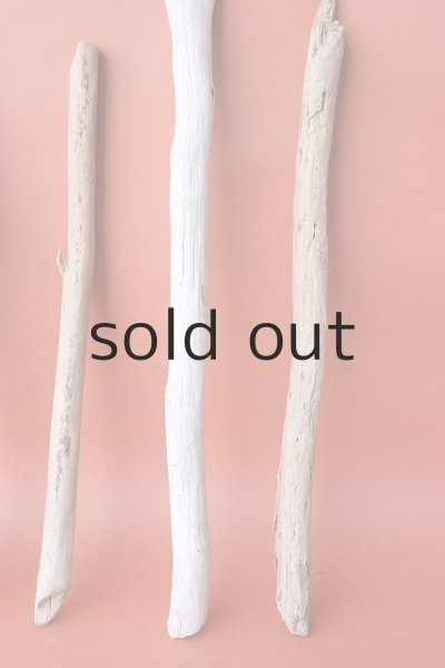 画像6: 棒流木セット (6)