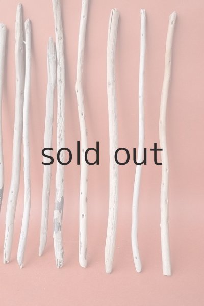 画像5: 棒流木セット (5)