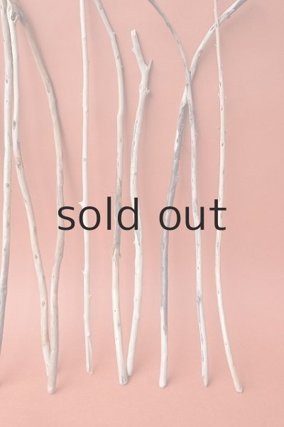 画像5: 棒流木セット (5)