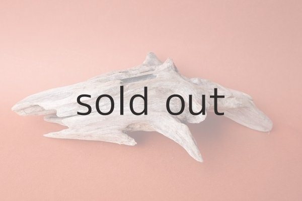 画像2: 変形流木 (2)