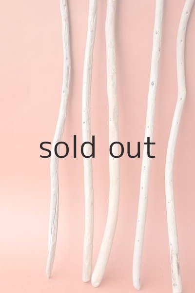 画像5: 棒流木セット (5)