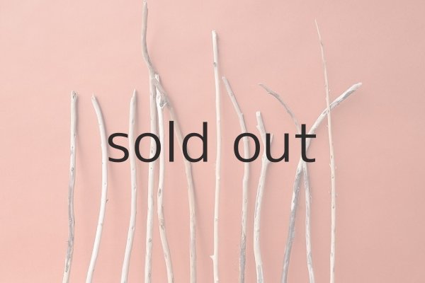 画像3: 棒流木セット (3)