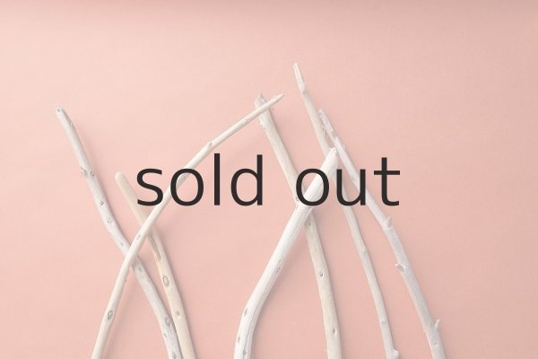 画像4: 棒流木セット (4)