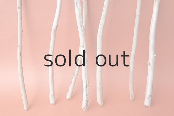 画像2: 棒流木セット (2)