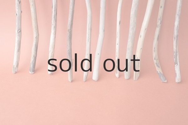 画像2: 棒流木セット (2)