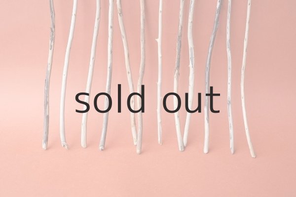 画像2: 棒流木セット (2)