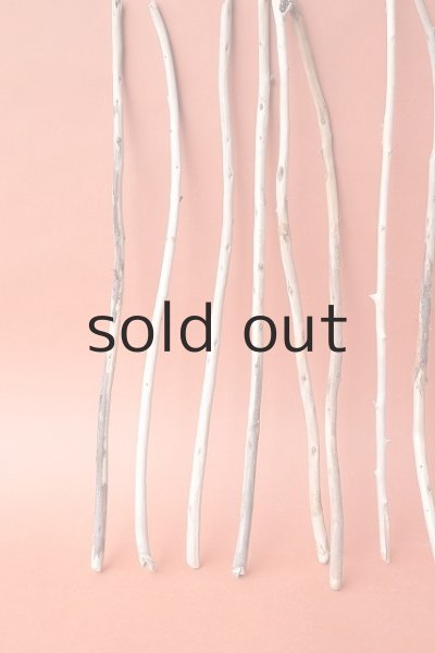 画像4: 棒流木セット (4)