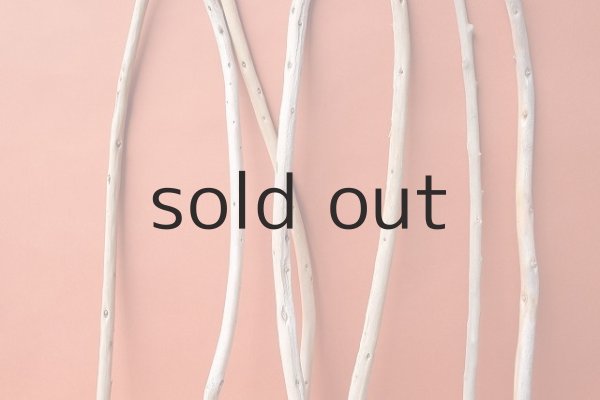 画像3: 棒流木セット (3)