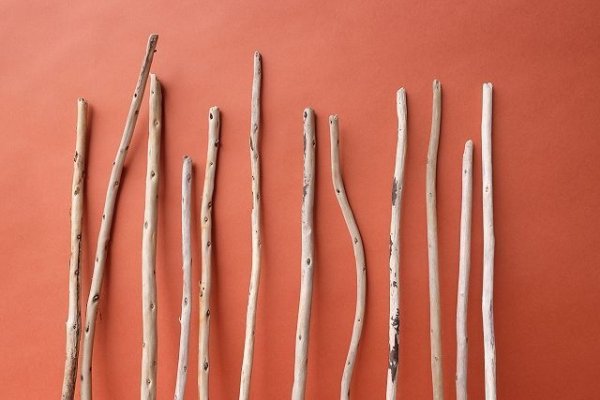 画像3: 棒流木セット (3)