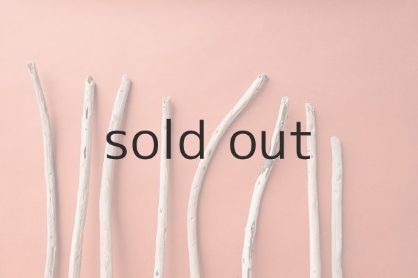 画像4: 棒流木セット (4)