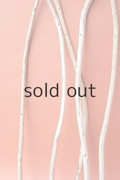 画像5: 棒流木セット (5)