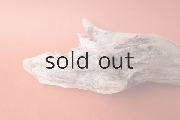 画像4: 変形流木 (4)