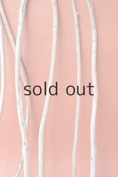 画像6: 棒流木セット (6)