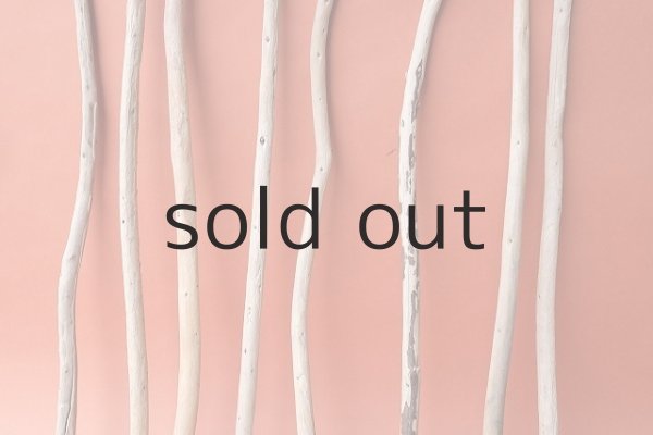 画像3: 棒流木セット (3)