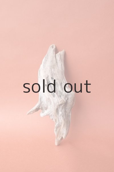 画像1: 変形流木 (1)