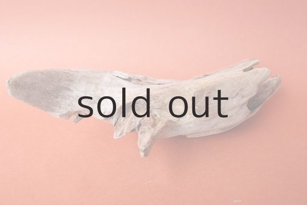 画像5: 変形流木 (5)