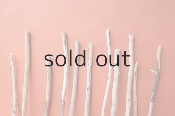 画像4: 棒流木セット (4)