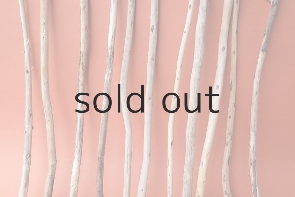 画像3: 棒流木セット (3)