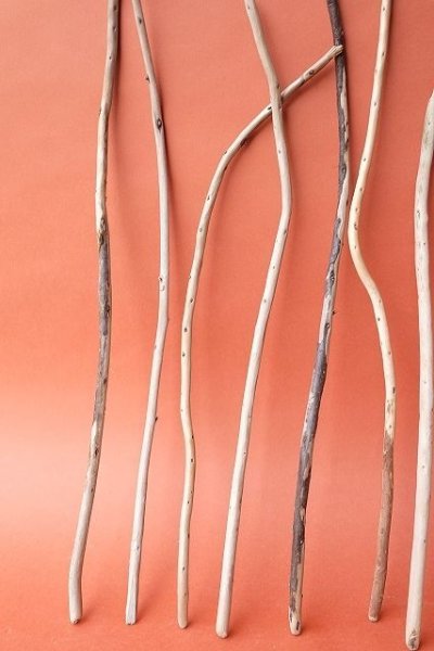 画像4: 棒流木セット (4)