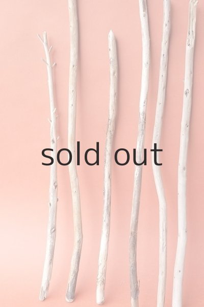 画像5: 棒流木セット (5)