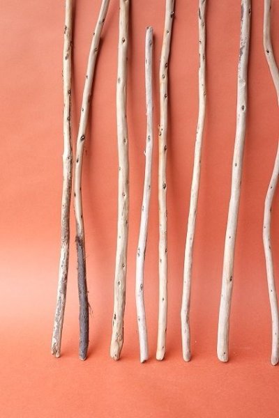 画像4: 棒流木セット (4)