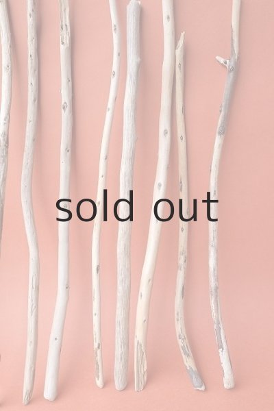 画像6: 棒流木セット (6)