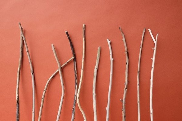 画像3: 棒流木セット (3)