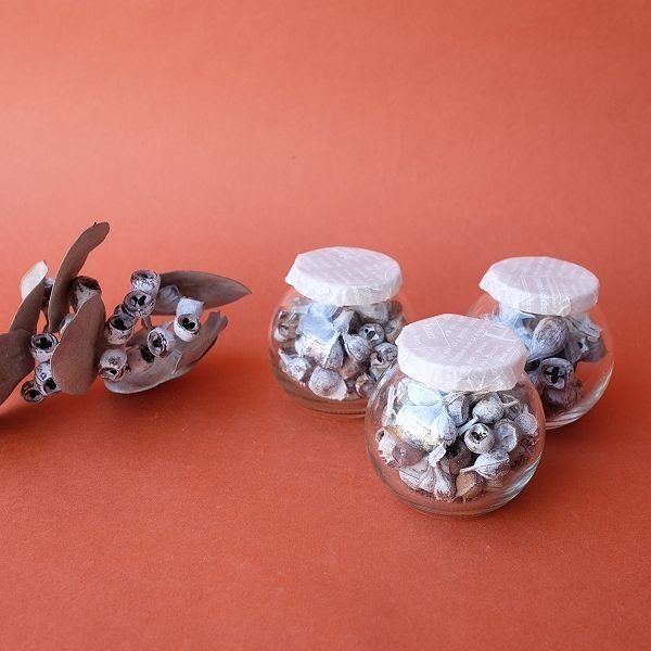 画像2: Dry plants for decor デコール用ミニシードボトル（テトラゴナシルバー） (2)