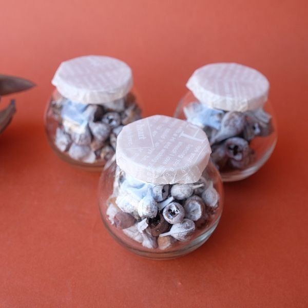 画像3: Dry plants for decor デコール用ミニシードボトル（テトラゴナシルバー） (3)