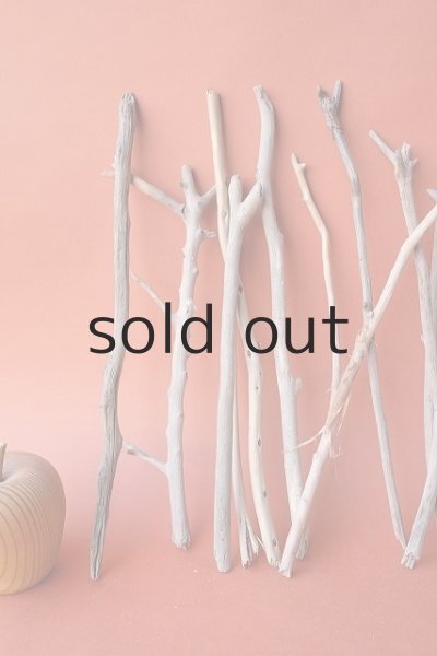 画像2: 小枝流木セット (2)