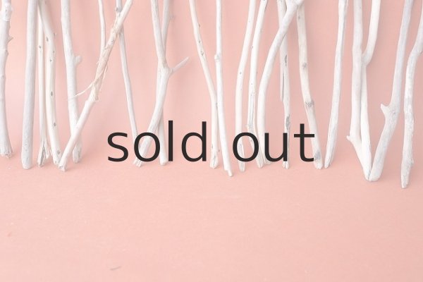 画像6: 小枝流木セット (6)