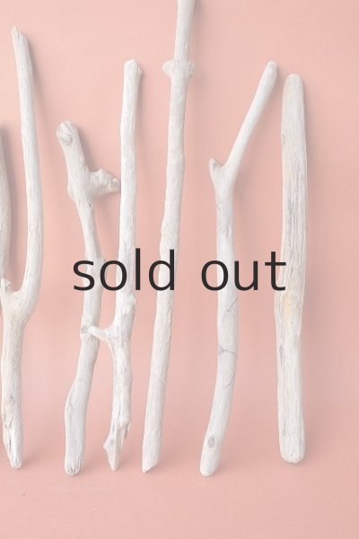 画像6: 小枝流木セット (6)