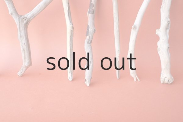 画像5: 小枝流木セット (5)