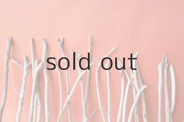 画像7: 小枝流木セット (7)