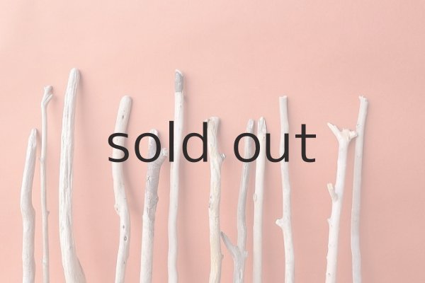 画像3: 小枝流木セット (3)