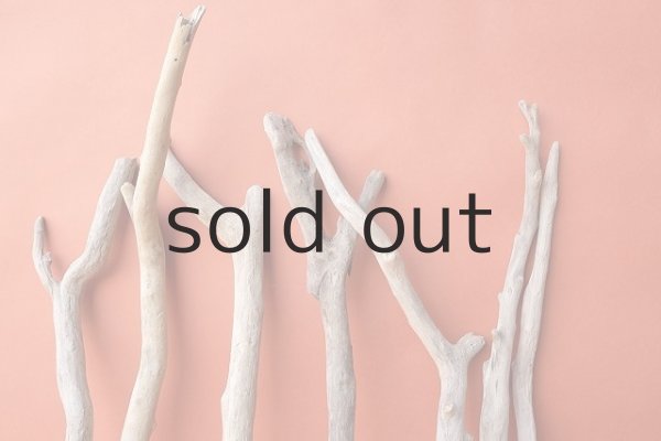 画像3: 小枝流木セット (3)