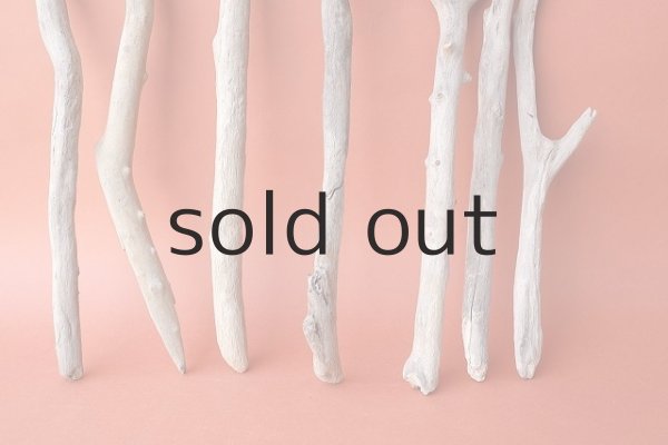 画像2: 小枝流木セット (2)