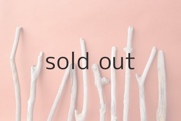 画像3: 小枝流木セット (3)