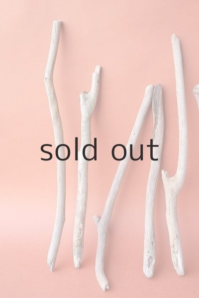 画像4: 小枝流木セット (4)