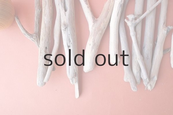 画像2: 小枝流木セット (2)