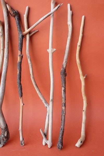 画像4: 小枝流木セット (4)