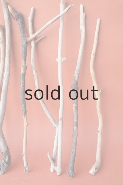 画像4: 小枝流木セット (4)