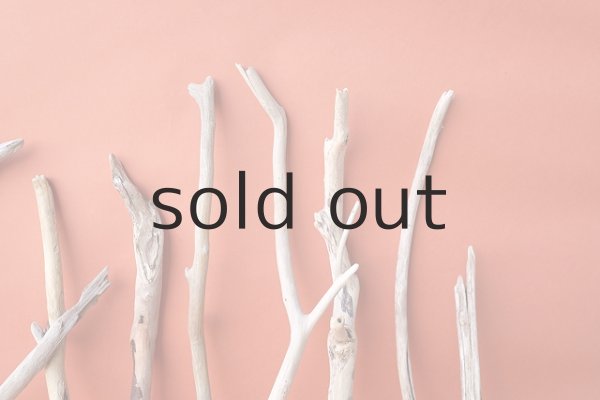 画像6: 小枝流木セット (6)